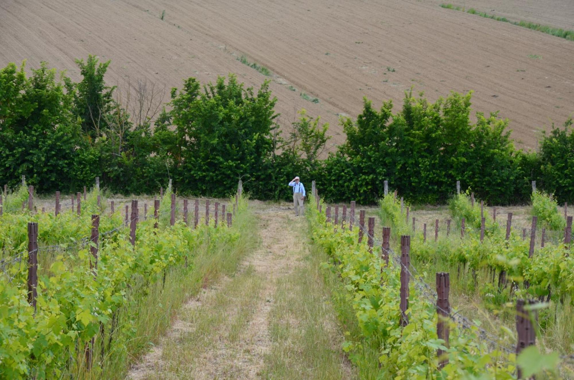 Agriturismo Sant'Alfredo Monteroni dʼArbia Eksteriør bilde